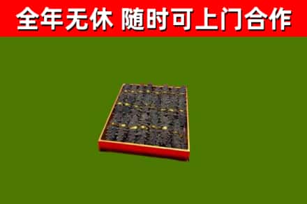 仓山回收海参